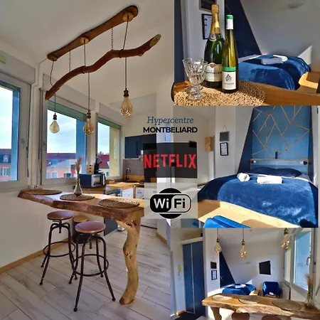 Appartement Superbe Cosy Et Atypique 3 Etoiles Montbéliard